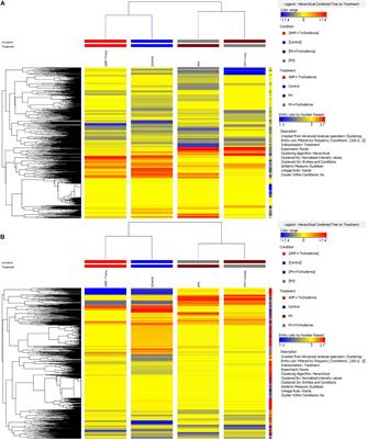 Metabolomic Responses of Maize Shoots and Roots Elicited by Combinatorial Seed Treatments With Microbial and Non-microbial Biostimulants